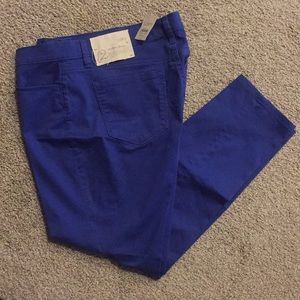 LOFT Modern Skinny Pants